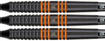 Preview: Raymond van Barneveld RVB80 80% 18g soft